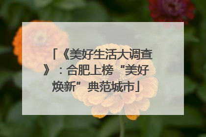 《美好生活大调查》：合肥上榜“美好焕新”典范城市