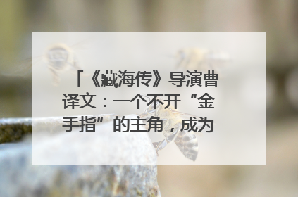 《藏海传》导演曹译文：一个不开“金手指”的主角，成为苍生守护者