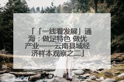 「一线看发展」通海：做足特色 做优产业——云南县域经济样本观察之二
