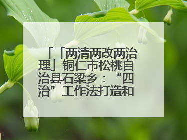 「两清两改两治理」铜仁市松桃自治县石梁乡：“四治”工作法打造和美新农村