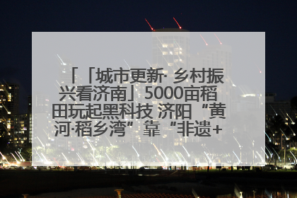 「城市更新· 乡村振兴看济南」5000亩稻田玩起黑科技 济阳“黄河·稻乡湾”靠“非遗+露营”火出圈