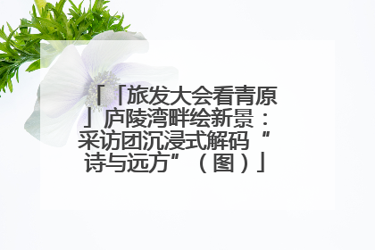 「旅发大会看青原」庐陵湾畔绘新景：采访团沉浸式解码“诗与远方”（图）