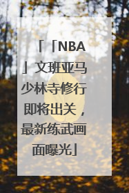 「NBA」文班亚马少林寺修行即将出关，最新练武画面曝光