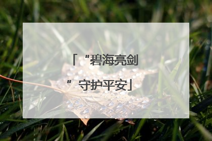 “碧海亮剑”守护平安