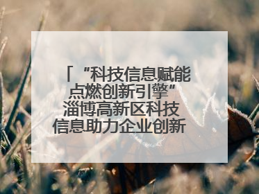 “科技信息赋能 点燃创新引擎” 淄博高新区科技信息助力企业创新发展培训会举办