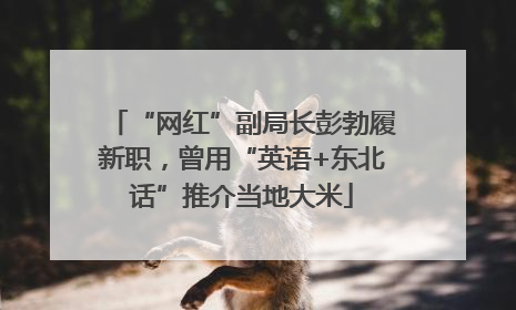 “网红”副局长彭勃履新职，曾用“英语+东北话”推介当地大米