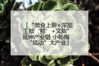 “美食上新+深加工锁‘鲜’+文旅”延伸产业链 小杨梅“撬动”大产业