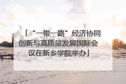 “一带一路”经济协同创新与高质量发展国际会议在新乡学院举办