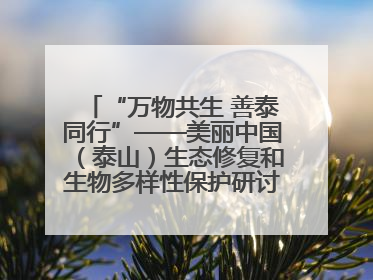 “万物共生 善泰同行”——美丽中国（泰山）生态修复和生物多样性保护研讨会成功举办