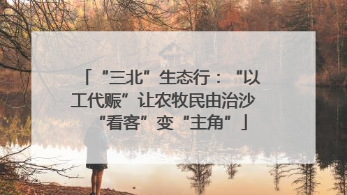 “三北”生态行：“以工代赈”让农牧民由治沙“看客”变“主角”