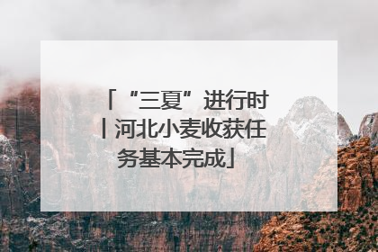 “三夏”进行时丨河北小麦收获任务基本完成