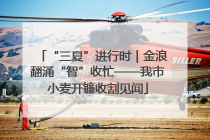 “三夏”进行时｜金浪翻涌“智”收忙——我市小麦开镰收割见闻