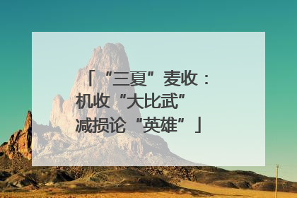 “三夏”麦收：机收“大比武” 减损论“英雄”