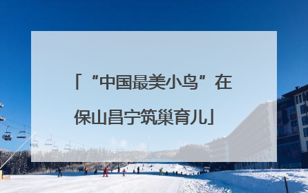 “中国最美小鸟”在保山昌宁筑巢育儿