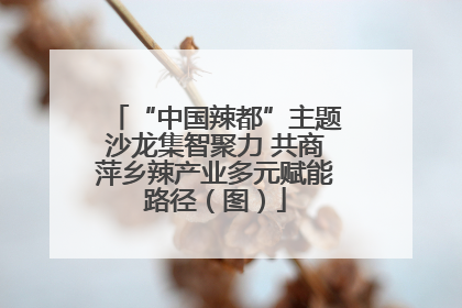 “中国辣都”主题沙龙集智聚力 共商萍乡辣产业多元赋能路径（图）