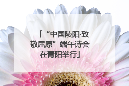 “中国陵阳·致敬屈原”端午诗会在青阳举行