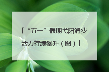 “五一”假期弋阳消费活力持续攀升（图）