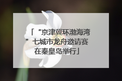 “京津冀环渤海湾”七城市龙舟邀请赛在秦皇岛举行