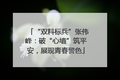 “双料标兵”张伟峰：破“心墙”筑平安，展现青春警色