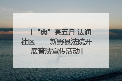 “典”亮五月 法润社区——新野县法院开展普法宣传活动