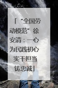 “全国劳动模范”徐安清：一心为民践初心 实干担当铸忠诚