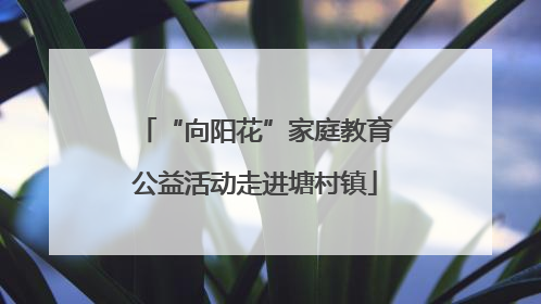 “向阳花”家庭教育公益活动走进塘村镇