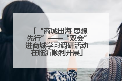 “商城出海 思想先行”——“双会”进商城学习调研活动在临沂顺利开展