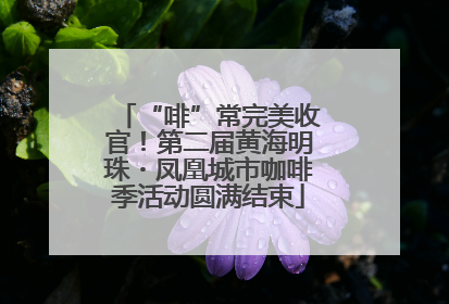 “啡”常完美收官！第二届黄海明珠・凤凰城市咖啡季活动圆满结束