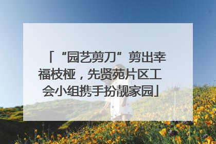 “园艺剪刀”剪出幸福枝桠，先贤苑片区工会小组携手扮靓家园