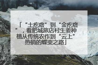 “土疙瘩”到“金疙瘩”，看肥城旅店村生姜种植从传统农作到“云上”热销的蝶变之路