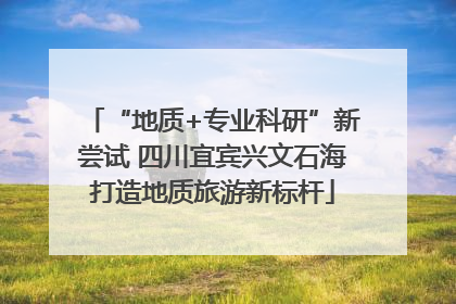 “地质+专业科研”新尝试 四川宜宾兴文石海打造地质旅游新标杆