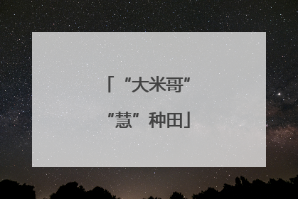 “大米哥”“慧”种田