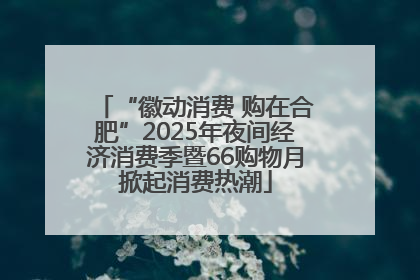 “徽动消费 购在合肥”2025年夜间经济消费季暨66购物月掀起消费热潮