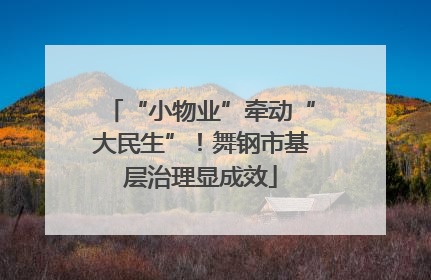 “小物业”牵动“大民生”！舞钢市基层治理显成效