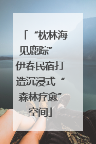 “枕林海见鹿踪” 伊春民宿打造沉浸式“森林疗愈”空间