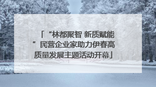 “林都聚智 新质赋能”民营企业家助力伊春高质量发展主题活动开幕