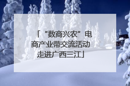 “数商兴农”电商产业带交流活动走进广西三江