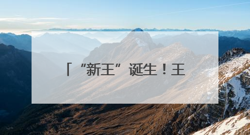 “新王”诞生！王楚钦战胜雨果，骄傲展示胸前国旗