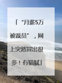 “月薪5万被裁员”，网上突然冒出很多！有猫腻