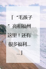 “毛孩子”亮相福州这里！还有很多福利……