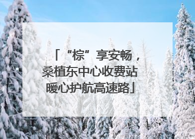 “棕”享安畅，桑植东中心收费站暖心护航高速路