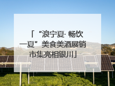 “浪宁夏· 畅饮一夏”美食美酒展销市集亮相银川