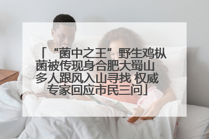 “菌中之王”野生鸡枞菌被传现身合肥大蜀山 多人跟风入山寻找 权威专家回应市民三问