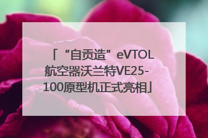 “自贡造”eVTOL航空器沃兰特VE25-100原型机正式亮相