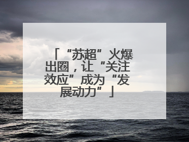 “苏超”火爆出圈，让“关注效应”成为“发展动力”