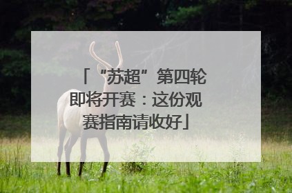 “苏超”第四轮即将开赛：这份观赛指南请收好