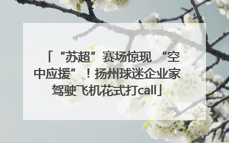 “苏超”赛场惊现 “空中应援”！扬州球迷企业家驾驶飞机花式打call