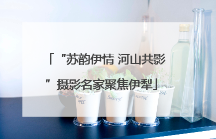 “苏韵伊情 河山共影”摄影名家聚焦伊犁