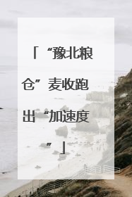 “豫北粮仓”麦收跑出“加速度”