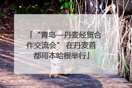 “青岛—丹麦经贸合作交流会” 在丹麦首都哥本哈根举行